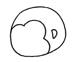 猴子简笔画