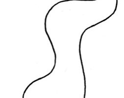 壁虎简笔画
