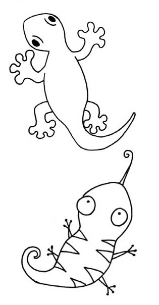 壁虎简笔画