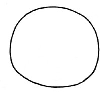 狮子简笔画