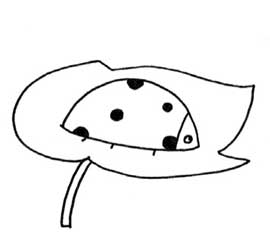 瓢虫简笔画