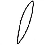 蝴蝶简笔画
