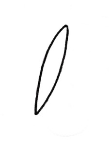 蝴蝶简笔画
