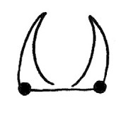 甲虫简笔画