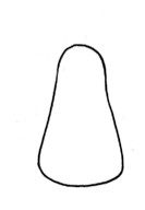 孔雀简笔画