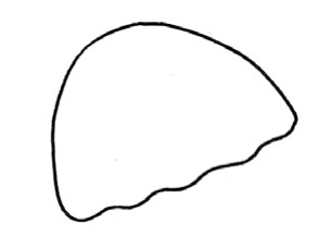 水母简笔画