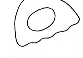 水母简笔画