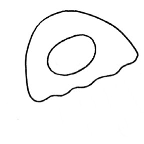 水母简笔画