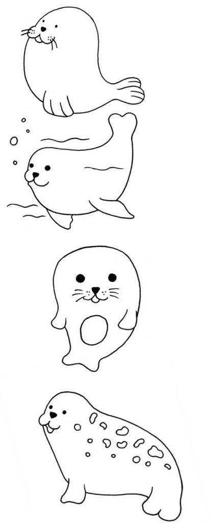 海豹简笔画