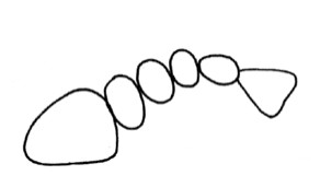 虾简笔画