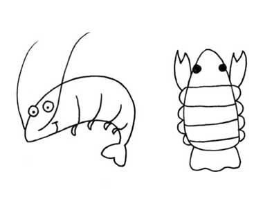 虾简笔画