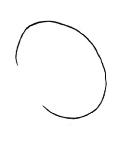桃子简笔画