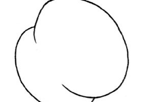 桃子简笔画