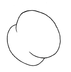 桃子简笔画