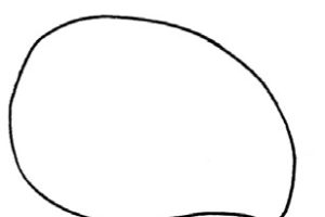 芒果简笔画