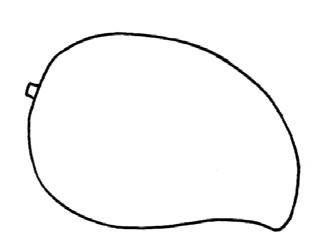 芒果简笔画