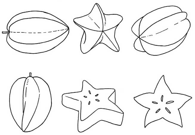 杨桃简笔画