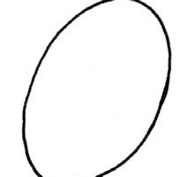 火龙果简笔画