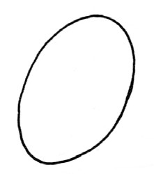 火龙果简笔画
