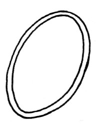火龙果简笔画