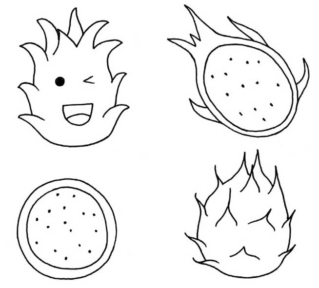 火龙果简笔画