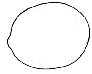 柠檬简笔画