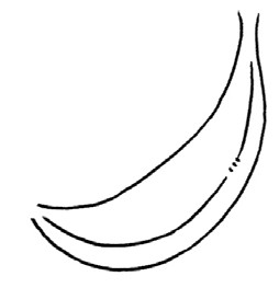 香蕉简笔画