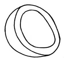 山竹简笔画