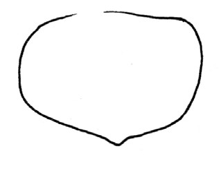 柿子简笔画