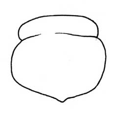 柿子简笔画