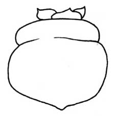 柿子简笔画