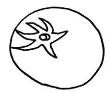 西红柿简笔画