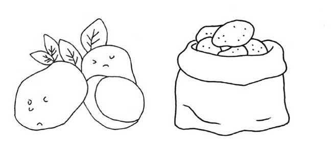 土豆简笔画