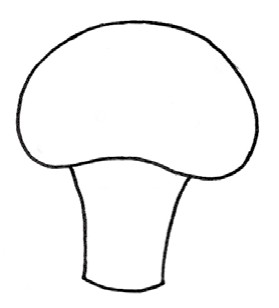 西蓝花简笔画