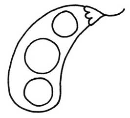 豌豆简笔画