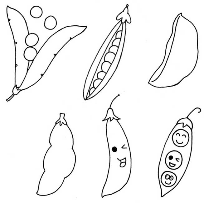 豌豆简笔画