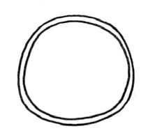 黄瓜简笔画