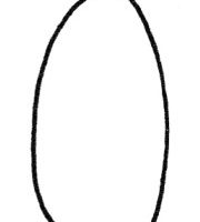 南瓜简笔画