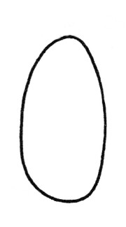 南瓜简笔画