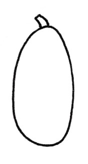 南瓜简笔画
