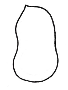 花生简笔画