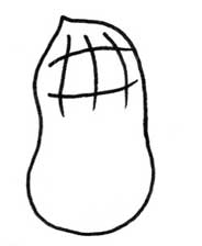 花生简笔画