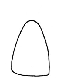 白菜简笔画
