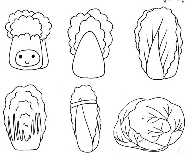 白菜简笔画