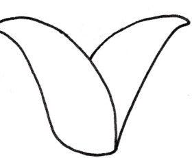 玉米简笔画