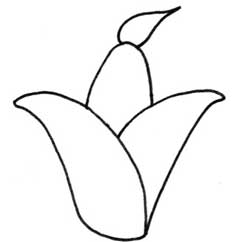 玉米简笔画