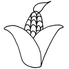 玉米简笔画