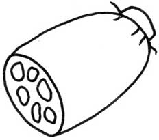 莲藕简笔画