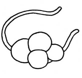 发箍简笔画