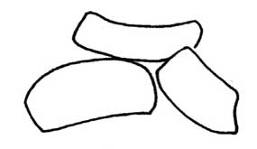 薯片简笔画